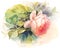 Garden Roses Watercolor Flowers Illustration Hand Painted