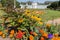 Garden with Rudbeckia, Mexican marigold and Verbena flowers in the Kuskovo Estate