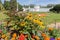 Garden with Rudbeckia, Mexican marigold and Verbena flowers in the Kuskovo Estate