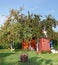 The garden rural wooden toilet near the apple tree with fruits