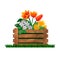 garden, rustic box as flowerbeds and flowers