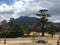 Garden with Sakurajima Volcano in Kagoshima Kyushu island Japan