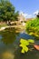 Garden in San Juan Capistrano