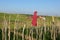 Garden scarecrow in a garden, scarecrow made of human clothing