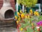 Garden scene showing chimney beside an assortment of vibrant pretty flowers