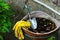 Garden Scoop and Garden Gloves in Flower Pot