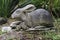 Garden Sculpture- Hare-Mom and the Little Hare