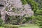 Garden seat under beautiful asian sculptured tree, Sydney Botannical Gardens. New South Wales, Australia.