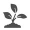 Garden seedlings grows in a ground solid icon, nature concept, Plant sprouts sign on white background, Young growth with