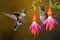 Garden Serenity: Hummingbirds Sipping Nectar Among Pink Flowers