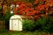 Garden shed afternoon sun in autumn