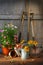 Garden shed with tools and pots