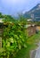 Garden sheds at allotment plots