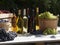 A garden shot of red green and blue grapes outside in baskets in the sunshine with wines