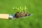 Garden shovel with soil and young seedling. Hand take Plant in Shovel for Earth Day Concept on Green Bokeh