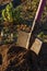 A garden shovel sticking out of a pile of earth in a garden or vegetable garden. The concept of digging the soil, garden work in