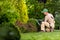 Garden Shrubs Maintenance