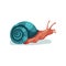 Garden snail gastropod mollusk vector Illustration on a white background