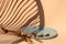 Garden snails crawling on blue plate on beige background. Beautiful shadows and eco driftwood