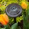 Garden Solar Light