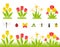 Garden spring flowers. A bush of tulips, daffodils, poppies. Flowers in the grass, meadow. Collection of insects