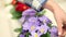 Garden springtime concept, woman florist hand touch flowers of primroses