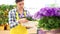 Garden springtime concept, woman florist working primula flowers