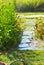 Garden Sprinkler Droplets Surround Plants in Watery Haze