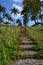 Garden Stairs