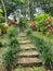 Garden Stairway Nature