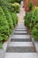 Garden Steps and Path