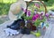 Garden still life with petunia flowers, boots, straw hat and working tools on planks