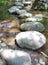 Garden stone nature pathway