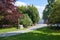 Garden with stone tiled path and court in a summer day, Italy