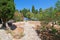 Garden stone walkway