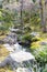 Garden at Tenryuji Temple