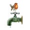 Garden thirsty bird perched on a vintage style metal water tap. Watercolor illustration. Hand painted garden robin on a