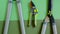 Garden tool set. Secateurs, loppers and hedge trimmers