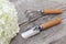 Garden tool and snowball hydrangea