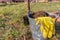 Garden tools, a bucket of earth and a shovel. Seasonal work in the garden at the cottage