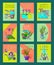 Garden tools card set vector illustration. It s time for gardening. Gardener supply. I love my garden. Wheelbarrow