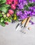 Garden tools with decorative summer flowers on gray stone concrete background, top view