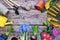 Garden tools, flowers and plants on a rustic wooden background, frame. Gardening concept. Top view