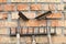 Garden tools: old and rusty rakes and hoes against the old weathered brick wall