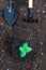 Garden tools shovels, rakes, with a green plant on a black earth background.Garden tools, shovels, rakes, with green