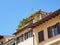 Garden on Top of Old Rome Apartment Building, Italy