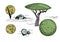 Garden tree and bushes set with stones. Design elements for poster or drawings or collages for architects and landscape designers