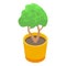 Garden tree pot icon isometric vector. Farmer bush