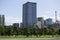 Garden and trees outside the Japanese Imperial Palace in Tokyo