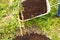 Garden trolley with humus, care for young Apple seedlings